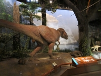 恐竜.jpg